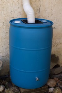 Craigslist Rain Barrel