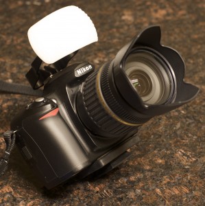 Nikon D50 with on-board flash diffuser.